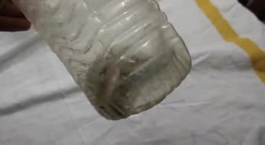 जहानाबाद: नोआमा गांव में एक बच्चे को ज़हरीले सांप ने काटा, परिजन सांप को डब्बे में बंद कर  पहुंचे सदर अस्पताल