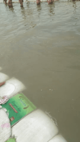 मिर्ज़ापुर: jai mata di#@
 #jami mata di vindhyachal