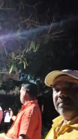 sadan block  ke badasi me belbarni puja Kiya gaya