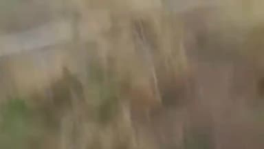 पन्ना: ओलावृष्टि से हुए नुकसान से 2 गुना मिलेगा मुआवजा, कैबिनेट मंत्री बृजेंद्र प्रताप सिंह ने दिया आश्वासन