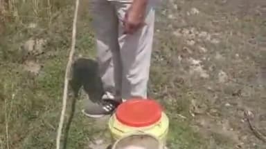 जमुई: ताराडीह गांव में उत्पाद विभाग की पुलिस ने छापेमारी कर जावा महुआ सहित अर्ध निर्मित शराब को किया नष्ट