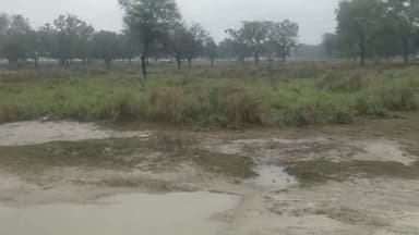 भदोही: भदोही के मुशीलाटपुर में होगा जिला कारागार का निर्माण तत्कालीन जेलर ने किसानों से कराया जमीन भदोही तहसिल मे बैनामा