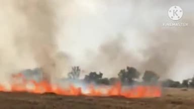 आगर: ग्राम पिपलिया कला में शॉर्ट सर्किट से खेतों में लगी आग, 90 बीघे में खड़ी गेहूं की फसल सहित ट्रैक्टर और बाइक भी जले