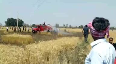 तेंदूखेड़ा: ग्राम सेहरी में शॉर्ट सर्किट से खेत में लगी आग, 1 एकड़ की खड़ी गेहूं की फसल जलकर हुई राख