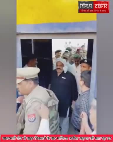 न्यूज  #vindhya tiger