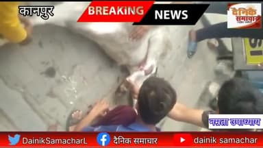 कानपुर में विजय नगर के पास से लेकर डबल पुलिया  तक नगर निगम द्वारा हो रहे रोड निर्माण के कारण हो रहे हैं।