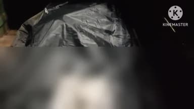 फिरोज़ाबाद: थाना रसूलपुर क्षेत्र स्थित वाल्मीकि बस्ती के पीछे रेलवे ट्रैक पर मिला अज्ञात व्यक्ति का शव