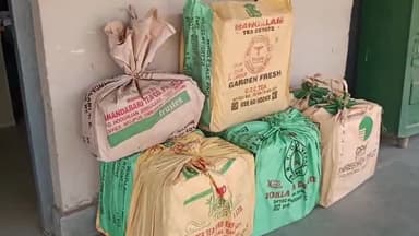 कस्बा: फुलवाड़िया चौक के पास पुलिस ने एक स्कॉर्पियो से 1,510 बोतल कोडीन युक्त कफ सिरप को किया जब्त, दो आरोपी गिरफ्तार