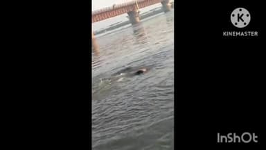 बुलंदशहर: राजघाट गंगा में स्नान कर रहा फिरोजाबाद का श्रद्धालु डूबा, डूबते युवक का वीडियो हुआ वायरल