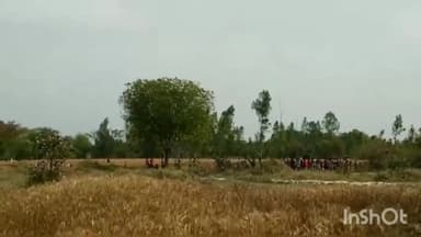 बिलग्राम: सांडी के ग्रामीण इलाके में दिन में तेज हवा चलने पर बंद रहेगी विद्युत सप्लाई, पकी फसल को लेकर दिए गए निर्देश