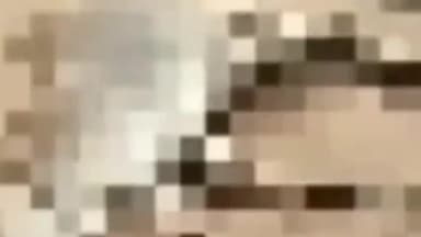 देवसर: ग्राम डगा के पास रोड पर खड़े गौवंश को अज्ञात वाहन ने मारी टक्कर, गौवंश की घटनास्थल पर हुई मौत