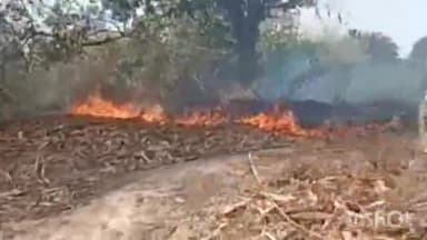 लखीसराय: बालगुदार गांव में सिगरेट की तिल्ली से बगीचे व गेहूं की खेत में लगी आग दमकल की टीम ने आग पर पाया काबू