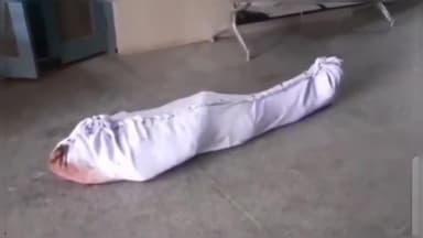 बुलंदशहर: हजरतपुर गांव के निकट अज्ञात वाहन की टक्कर से हुई बाइक सवार युवक की मौत