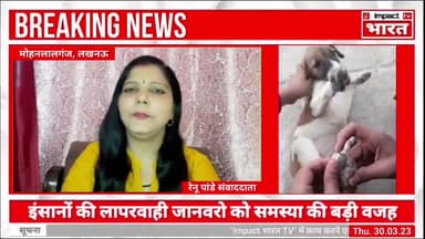 लोगों की लापरवाही जानवरो की बढ़ा रही मुसीबत,
@Impactभारत #impactbharat #lucknow