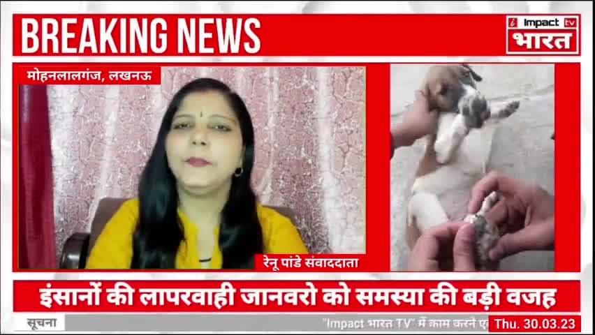 लोगों की लापरवाही जानवरो की बढ़ा रही मुसीबत,
@Impactभारत #impactbharat #lucknow