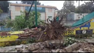 जगाधरी: यमुना कलब के पास बरसात के कारण पेड़ गिरने से गिरी दीवार, बड़ा हादसा होने से टला