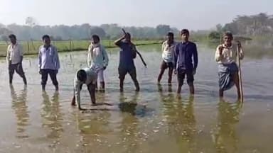 बीसलपुर: बीसलपुर तहसील क्षेत्र में देर रात हुईं भारी बारिस एवं ओलावृष्टि से किसानों की फसल हुईं नष्ट!