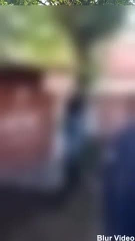 पंचकूला: खड़क मंगोली सेक्टर 1 में पेड़ से लटका मिला युवक का शव पुलिस पहुंची मौके पर जांच में जुटी