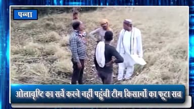 पन्ना: ग्राम भकुरी में ओलावृष्टि का सर्वे करने नहीं पहुंची टीम, किसानों में दिखी भारी नाराज़गी