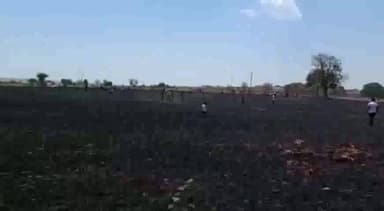 तेंदूखेड़ा: ग्राम खमरिया में आग लगने से 8 एकड़ भूमि में गेहूं की फसल जलकर हुई खाक