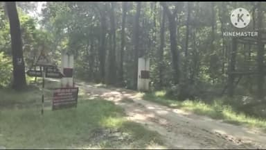 सिधाव: वाल्मीकीनगर स्थित वीटीआर प्रत्येक मंगलवार को रहेगा बंद, वीटीआर के निदेशक ने दी जानकारी