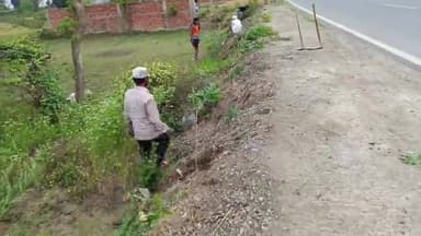 हरलाखी: हरलाखी में वन विभाग के द्वारा एनएच 227 पर सड़क किनारे किया जा रहा है वृक्ष रोपण