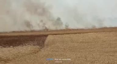 बमभई के बाध में होरहा लगाने के कारण 1000 बीघा  गेहूँ की खेती में लगी भीषण आग मीली जानकारी के अनुसार