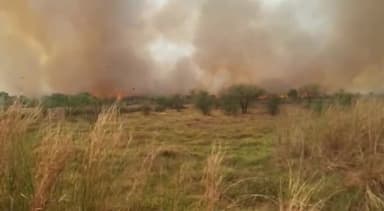 नबीनगर: NPGC अंकोरहा पावर प्लांट में लगी आग, बाल-बाल बचा GDCL का स्टोर