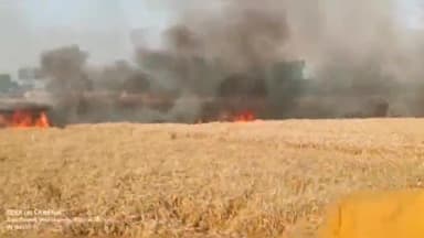 धनघटा: परसहर गांव में शॉर्ट सर्किट से लगी आग करीब 15 बीघा गेहूं की खड़ी फसल जलकर हुई खाक