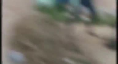 बेगूसराय: पहाड़ी गाछी गांव में दबंगों ने एक बुजुर्ग व्यक्ति के साथ की मारपीट, वीडियो सोशल मीडिया पर हुआ वायरल