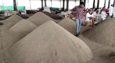 मेड़ता: कृषि उपज मंडी में जीरे के भाव में रिकॉर्ड तोड़ उछाल, मंडी में ₹40 हजार प्रति क्विंटल बिका जीरा