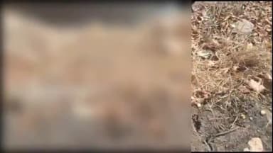 सिवनी: भररूटोला गाँव में लापता बुजुर्ग महिला का कुंए में मिला शव, जांच में जुटी पुलिस