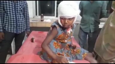 अररिया: बलुआ गांव में अनियंत्रित साइकिल से गिरकर किशोरी व बच्ची हुई घायल, सदर अस्पताल में कराया गया भर्ती