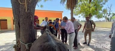 जलेसर: आईएएस अधिकारी कुणाल सिल्कू ने कान्हा गौशाला अवागढ़ का किया औचक निरीक्षण.