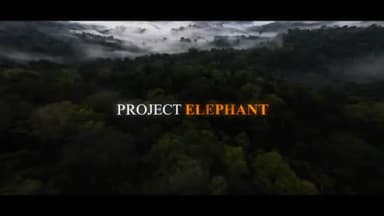 सरस्वती विहार: Project Elephant was launched in 1991-92 with the aim of protecting elephants and improving their habitats. #GajUtsav