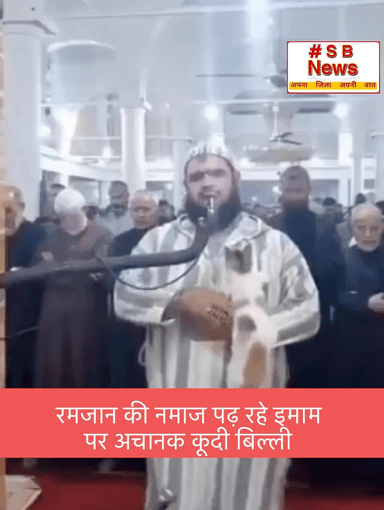 रमजान की नमाज पढ़ रहे इमाम पर अचानक कूदी बिल्ली, #viral #trending #ramjan #india
