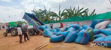 टीकमगढ़: टीकमगढ़ जिले की गौशाला में किया जा रहा है भूसे का संग्रहण