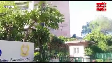 हैफेड प्रबंधन के साथ यूनियन की वार्ता विफल गेहूं खरीद कार्य न करने का निर्णय लिया