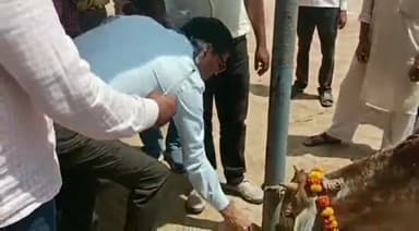 भदोही: विशेष सचिव,श्रम एवं सेवायोजन विभाग उ०प्र० शासन ने गुरुवार को मसूधी,कस्तूरीपुर 
गौशालाओं का किये निरीक्षण, दिये निर्देश