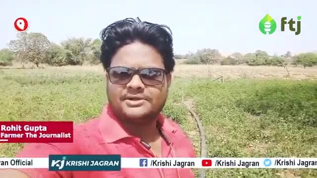 हल्की मिट्टी में भी कर सकते है टमाटर की खेती 

#tomatofarming #agriculture #farmers