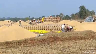 सिवनी: कान्हीवाड़ा मे समर्थन मूल्य पर गेहूं खरीद का कार्य हुआ प्रारंभ