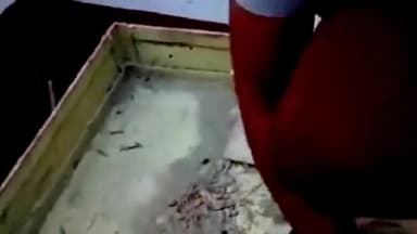 #कुचायकोट: जलालपुर गांव के समीप उत्पाद विभाग ने एक मिनी ट्रक से भारी मात्रा में अंग्रेजी शराब के साथ एक को किया गिरफ्तार