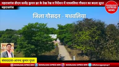 #महराजगंज #मधवलिया #गौसदन 
महराजगंज डीएम सत्येंद्र कुमार के देख रेख व निर्देशन में माधवलिया गौसदन का बदला सूरते हाल देखे विडियो