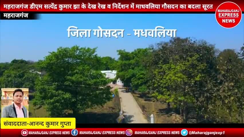 #महराजगंज #मधवलिया #गौसदन 
महराजगंज डीएम सत्येंद्र कुमार के देख रेख व निर्देशन में माधवलिया गौसदन का बदला सूरते हाल देखे विडियो