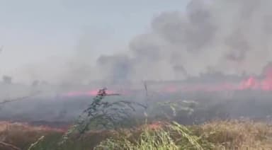 कानपुर: बिठूर के इटरा बनी गांव में खेतों में लगी आग, ग्रामीणों के साथ पुलिस आग बुझाने में जुटी