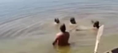 हरिपुर: नंदपुर भटोली के पोंग डैम में डूबा भेड़ बकरियां चराने आया चंबा का युवक, पुलिस ने कब्जे में लिया शव