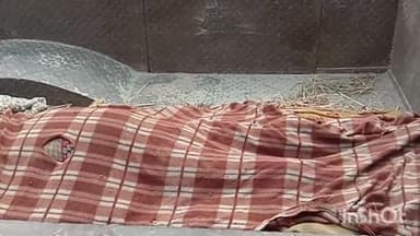 बड़ा मलेहरा: हटवाहा ट्रेक्टर ट्रॉली से टकराकर बाइक सवार की हुई मौत परिजनों ने दोस्तो पर लगाये लापरवाही के आरोप बड़ामलहरा में हुआ पी एम