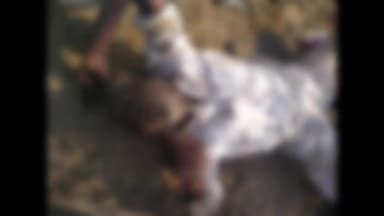 समुद्रपूर: शेडगाव चौरस्ता लगत अज्ञात इसमाचा मृतदेह आढळला, ओळख पटली नाही, अज्ञात वाहनाच्या धडकेत मृत्यू झाल्याचा पोलिसांचा अंदाज