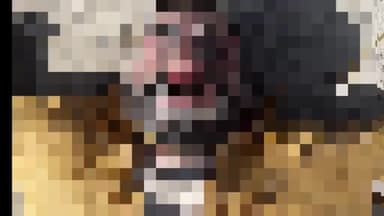 हिसार: डाबड़ा से कालवास नहर में एक व्यक्ति का शव सड़ी-गली हालत में मिला, अभी तक नहीं हो पाई शव की पहचान