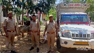 रॉबर्ट्सगंज: करमा के केकराही बाजार से पुलिस ने पिकअप में वध के लिए ले जाए जा रहे 4 गोवंशों को किया बरामद, दो अभियुक्त गिरफ्तार